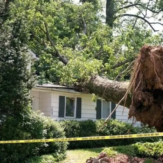 Storm Damage Repair Services in Austin, TX